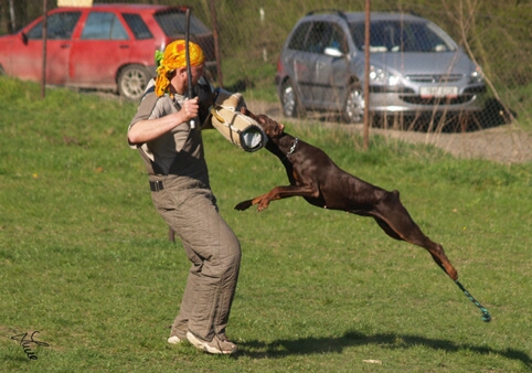 Hesta di Altobello - training 4. 4. 2007